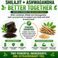 Pure Shilajit Resin