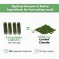 Chlorella Capsules Organic