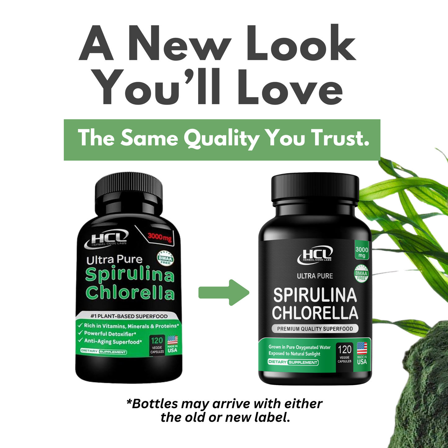Spirulina Chlorella Organic