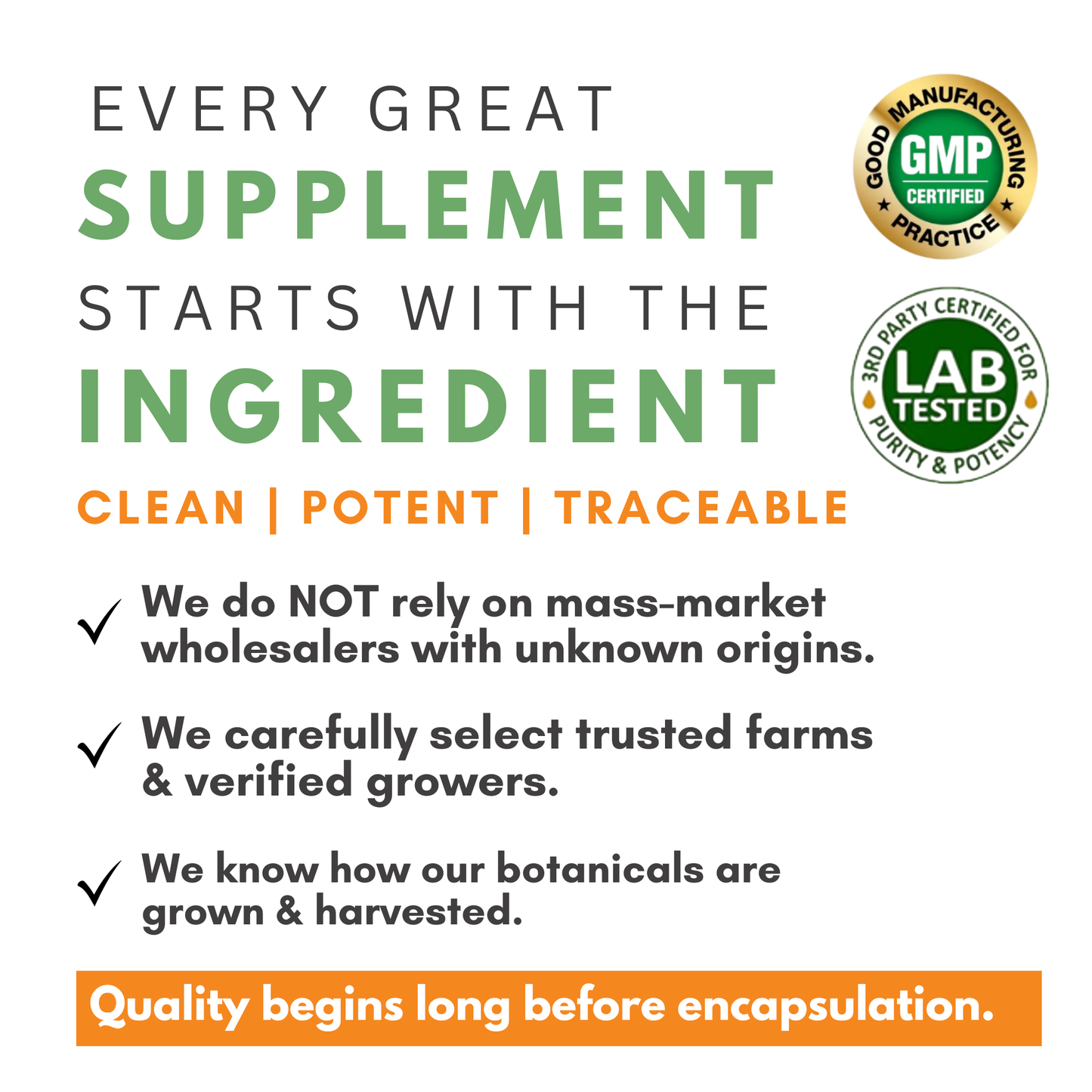 Turmeric Ginger Extract