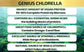 Organic Spirulina Chlorella Tablets