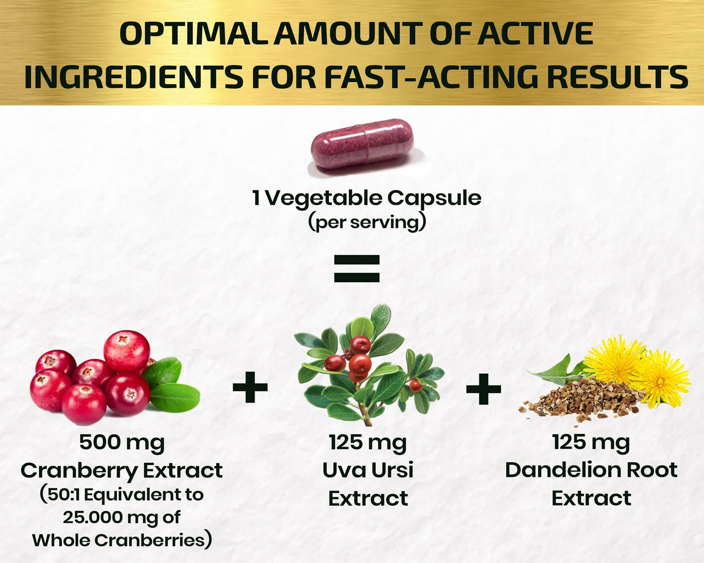 Cranberry Extract Pills