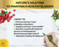 Cranberry Extract Pills