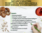 Organic Mushrooms Extract