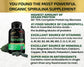 Spirulina Capsules Organic